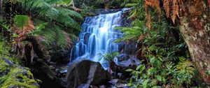 Preview wallpaper waterfall, stones, forest, moss