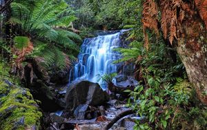 Preview wallpaper waterfall, stones, forest, moss