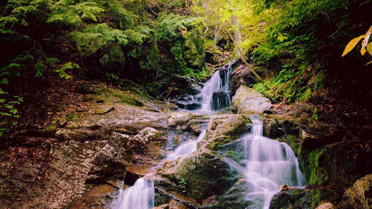 Wallpaper waterfall, stones, grass, forest, nature