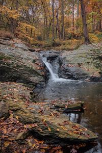 Preview wallpaper waterfall, stones, landscape, leaves, trees, autumn