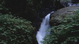 Preview wallpaper waterfall, stones, leaves, plants, nature