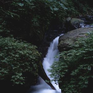 Preview wallpaper waterfall, stones, leaves, plants, nature