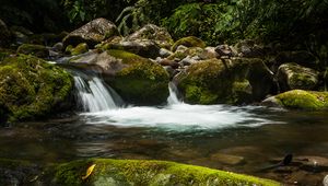 Preview wallpaper waterfall, stones, moss, water, plants