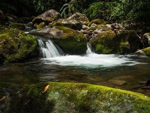 Preview wallpaper waterfall, stones, moss, water, plants