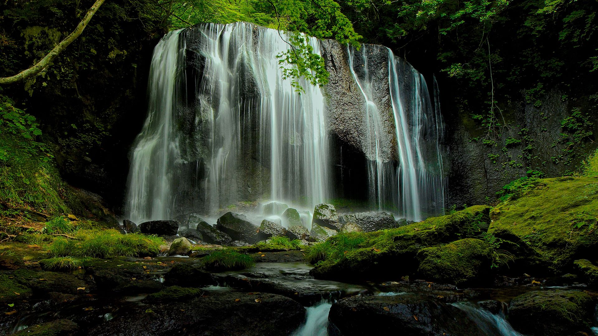 Download wallpaper 1920x1080 waterfall, stones, moss, branches full hd