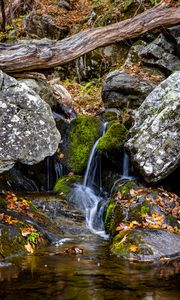 Preview wallpaper waterfall, stones, moss, leaves