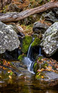 Preview wallpaper waterfall, stones, moss, leaves