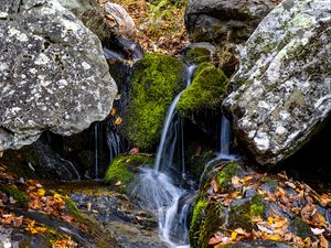 Preview wallpaper waterfall, stones, moss, leaves