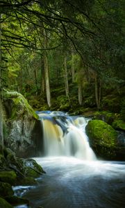 Preview wallpaper waterfall, stones, moss, trees, forest