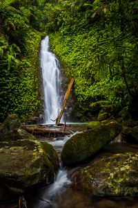 Preview wallpaper waterfall, stones, rocks, plants