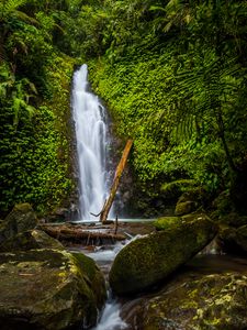 Preview wallpaper waterfall, stones, rocks, plants