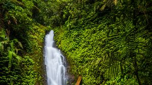 Preview wallpaper waterfall, stones, rocks, plants