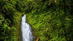 Preview wallpaper waterfall, stones, rocks, plants