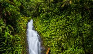 Preview wallpaper waterfall, stones, rocks, plants