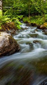 Preview wallpaper waterfall, stones, stream, fern