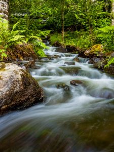 Preview wallpaper waterfall, stones, stream, fern