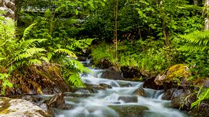 Preview wallpaper waterfall, stones, stream, fern