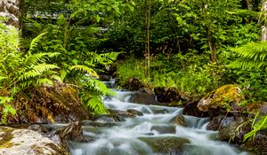 Preview wallpaper waterfall, stones, stream, fern