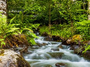 Preview wallpaper waterfall, stones, stream, fern