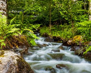 Preview wallpaper waterfall, stones, stream, fern