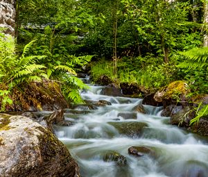 Preview wallpaper waterfall, stones, stream, fern