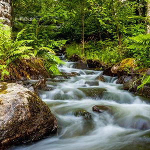 Preview wallpaper waterfall, stones, stream, fern