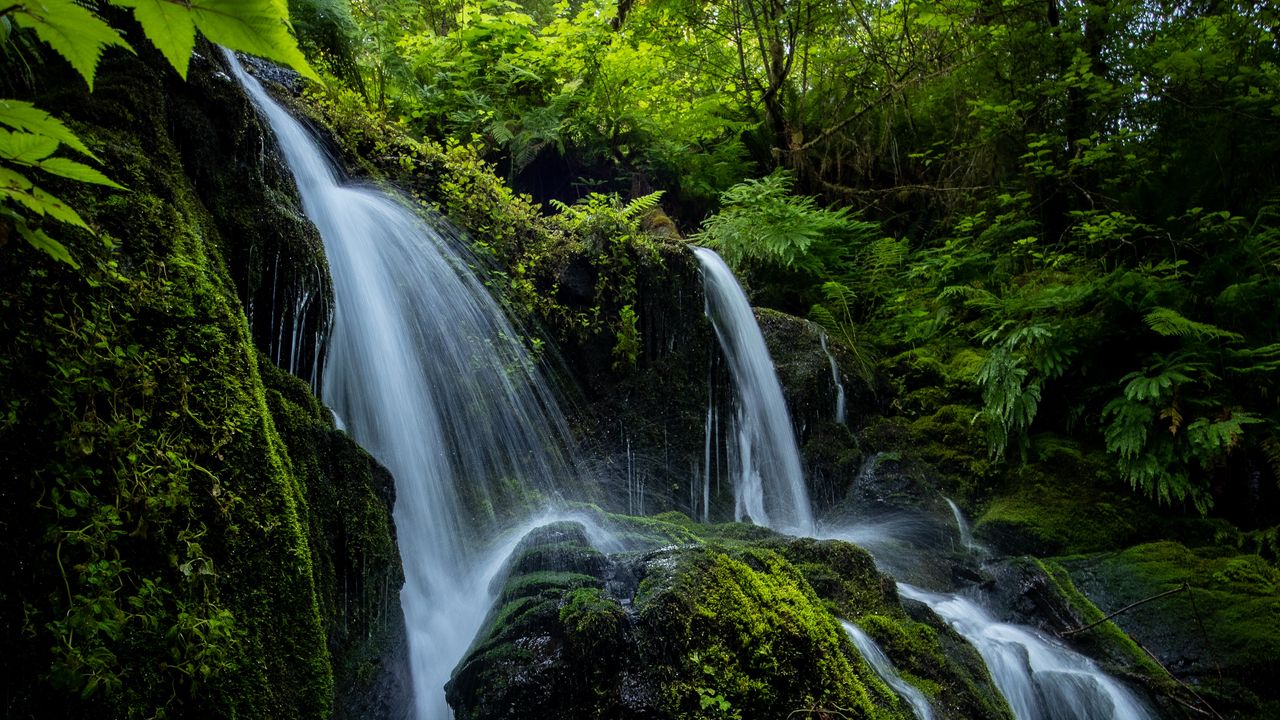 Wallpaper waterfall, stones, stream, plants, branches