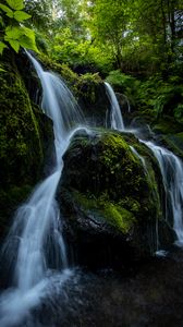 Preview wallpaper waterfall, stones, stream, plants, branches