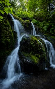 Preview wallpaper waterfall, stones, stream, plants, branches