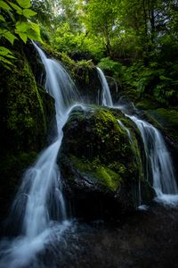 Preview wallpaper waterfall, stones, stream, plants, branches