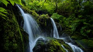 Preview wallpaper waterfall, stones, stream, plants, branches