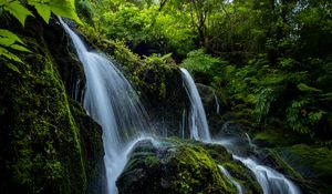 Preview wallpaper waterfall, stones, stream, plants, branches