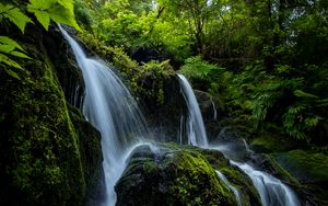 Preview wallpaper waterfall, stones, stream, plants, branches