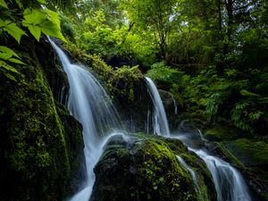 Preview wallpaper waterfall, stones, stream, plants, branches
