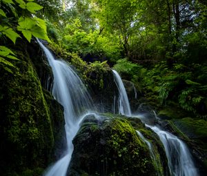 Preview wallpaper waterfall, stones, stream, plants, branches