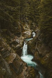 Preview wallpaper waterfall, stones, stream, branches, trees
