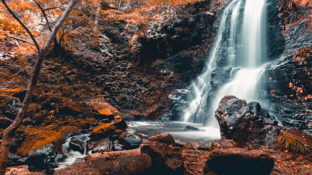 Wallpaper waterfall, stones, tree, autumn
