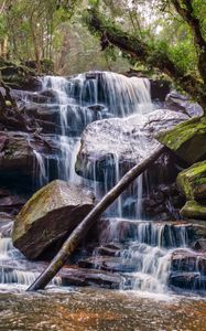 Preview wallpaper waterfall, stones, trees, moss, landscape