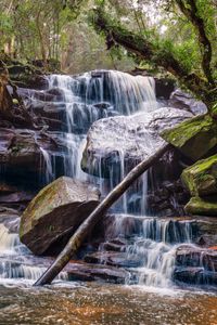 Preview wallpaper waterfall, stones, trees, moss, landscape