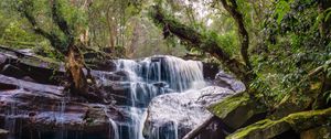 Preview wallpaper waterfall, stones, trees, moss, landscape