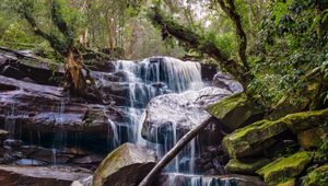 Preview wallpaper waterfall, stones, trees, moss, landscape