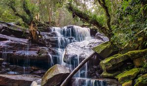 Preview wallpaper waterfall, stones, trees, moss, landscape