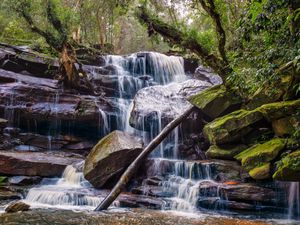 Preview wallpaper waterfall, stones, trees, moss, landscape