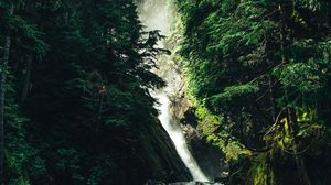 Preview wallpaper waterfall, stones, trees, forest