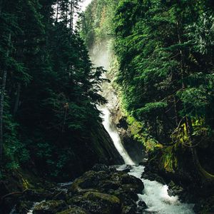 Preview wallpaper waterfall, stones, trees, forest