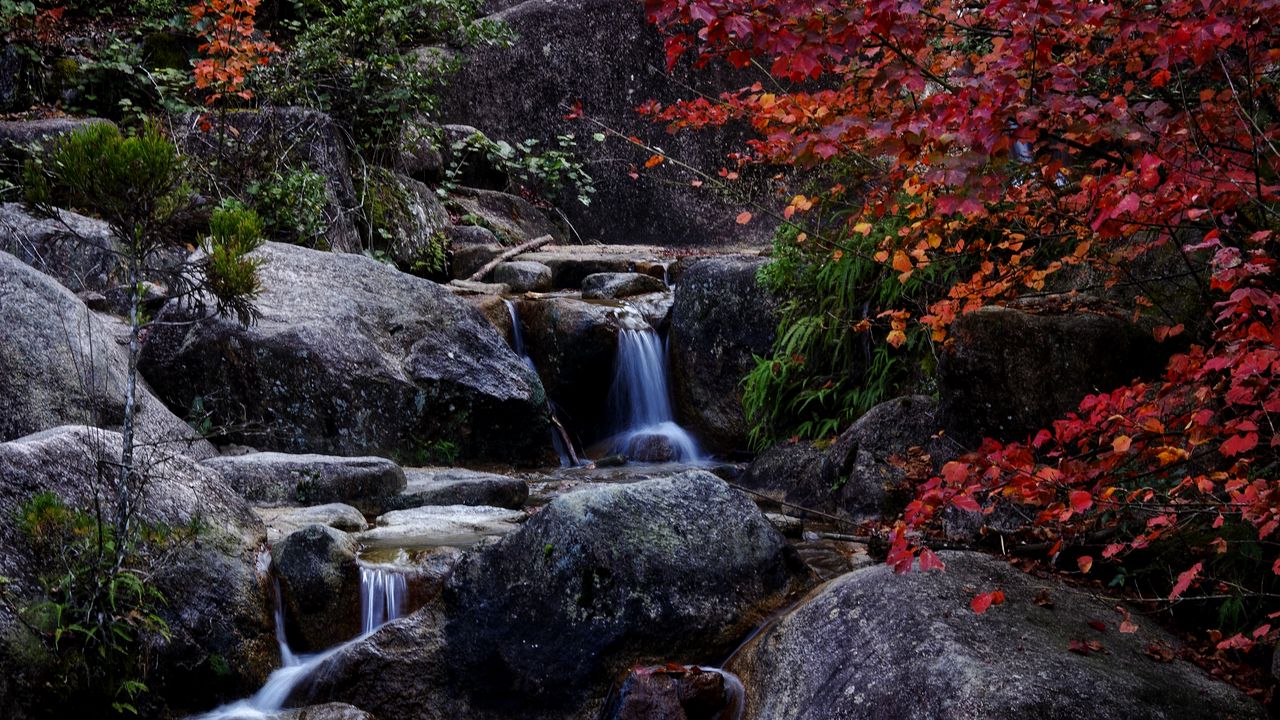 Wallpaper waterfall, stones, trees, branches, nature
