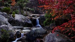 Preview wallpaper waterfall, stones, trees, branches, nature