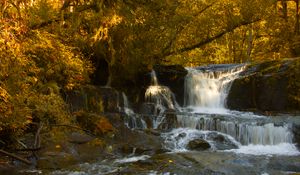 Preview wallpaper waterfall, stones, trees, branches, autumn