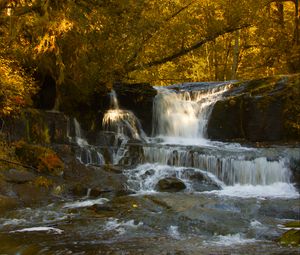 Preview wallpaper waterfall, stones, trees, branches, autumn