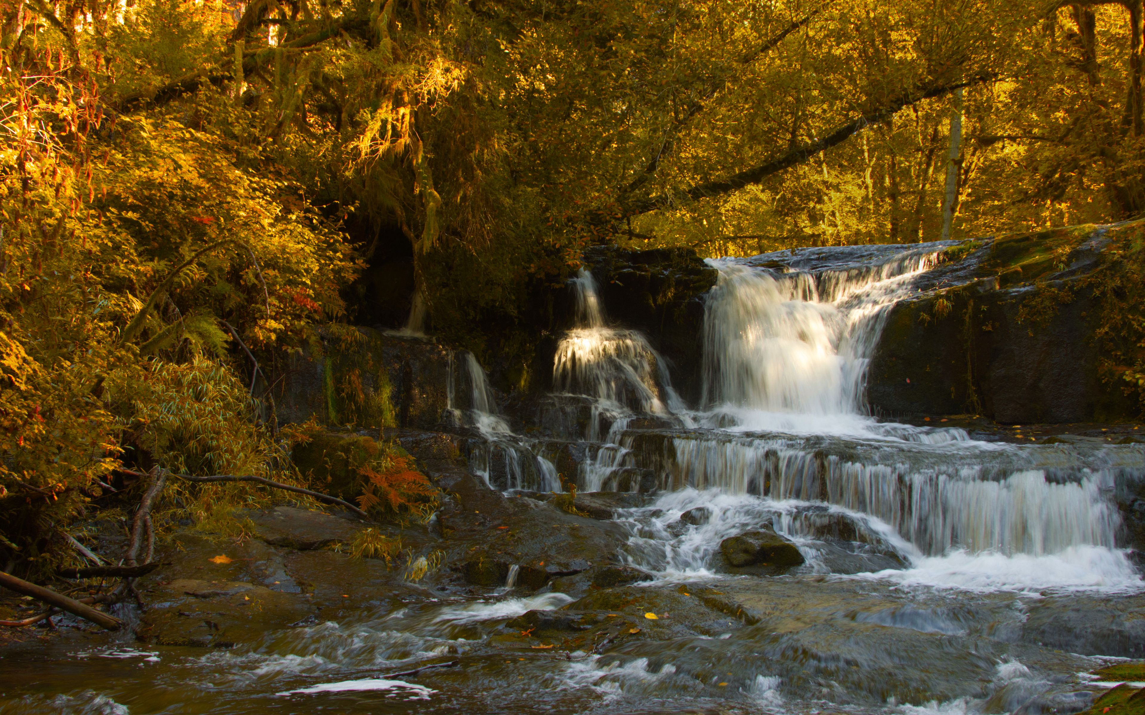 Download wallpaper 3840x2400 waterfall, stones, trees, branches, autumn